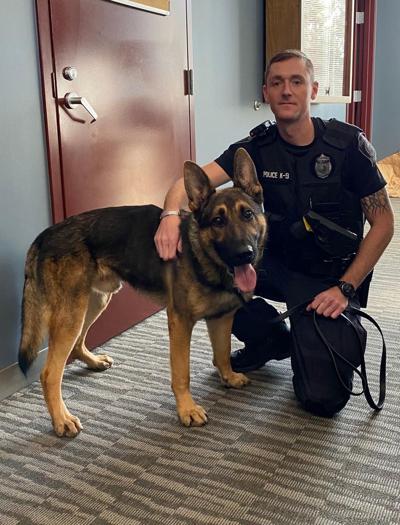 Foxboro police dog (copy)