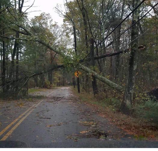 Thousands without power in Attleboro area after storm topples trees ...