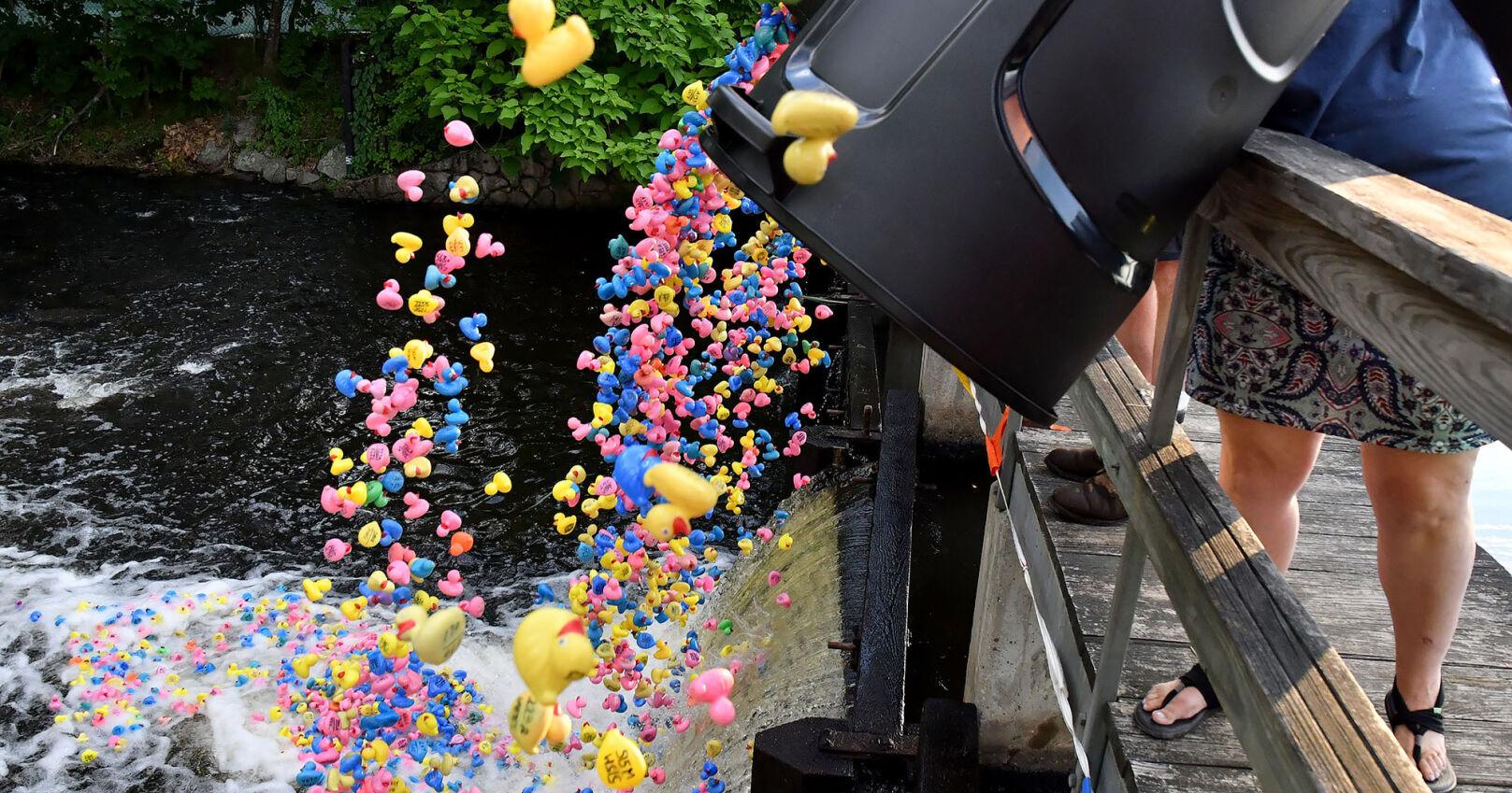 Mansfield's annual duck race set for Wednesday - Vimarsana News