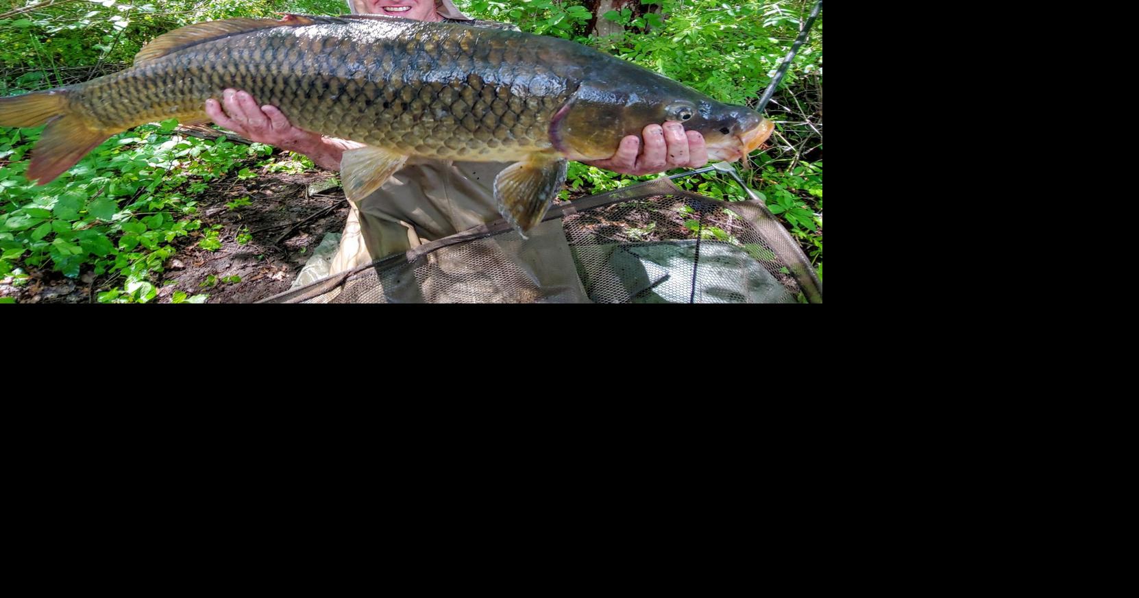 MONTI Carpe diem — Rhode Island man lands 40pound carp Local Sports