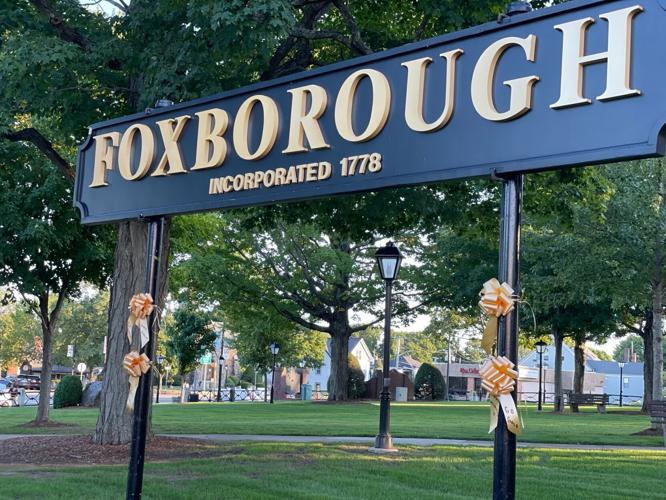 Town Common goes gold for childhood cancer awareness Local News