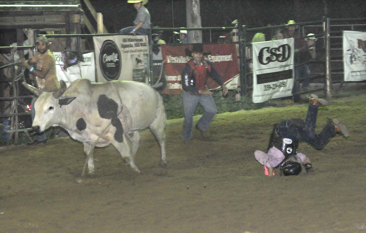 New England Rodeo in Norton draws protesters but also fans Local