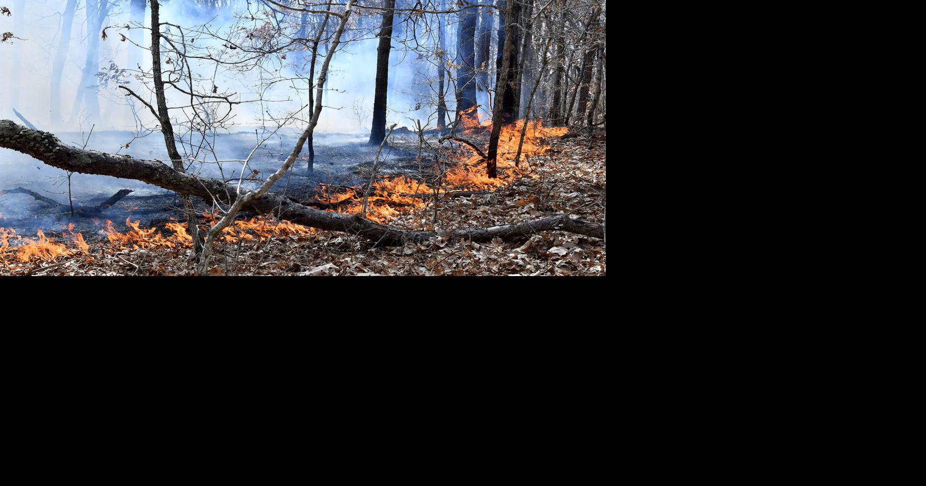 Brush, mulch fires keep Attleboro area firefighters busy Local News
