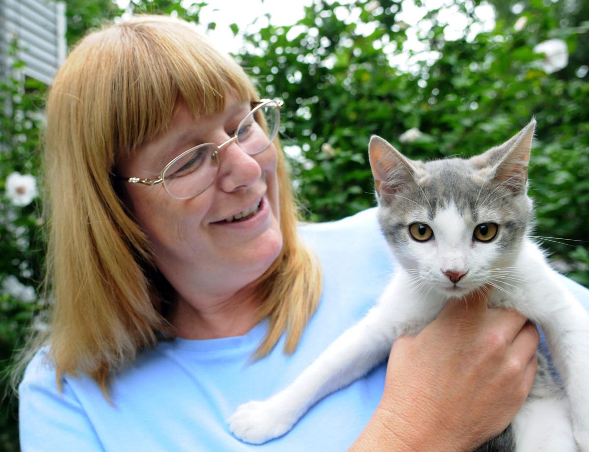 After 20 years, Paws of Plainville to close cat shelter Local News