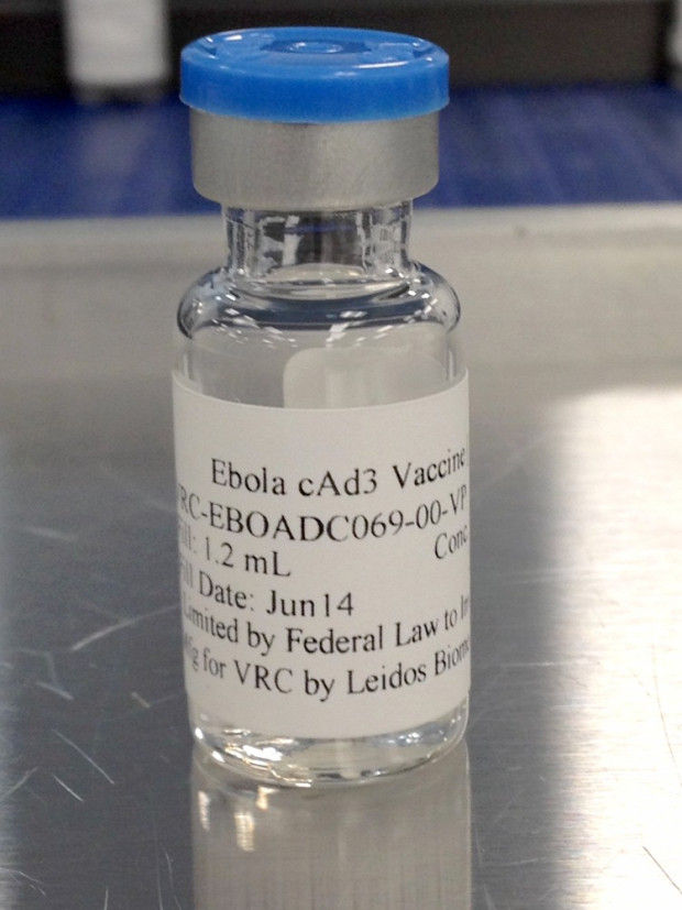 Monkey study: Ebola vaccine works, needs booster | Nation ...