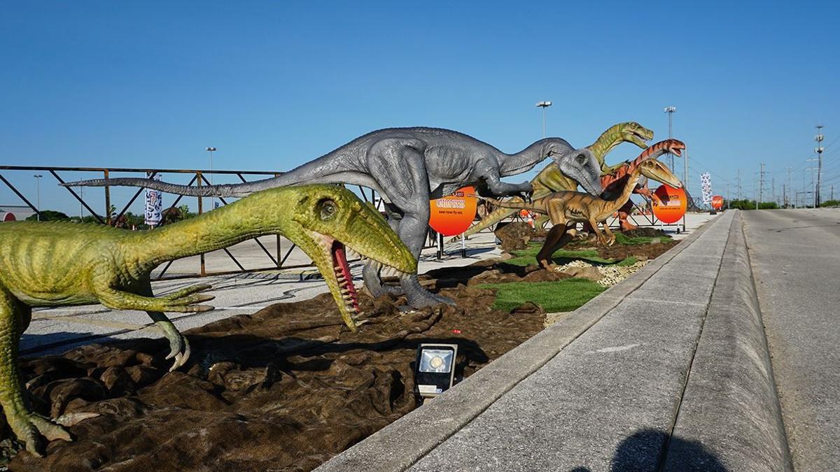 gillette jurassic quest
