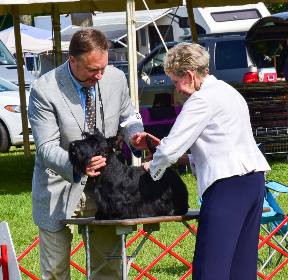 Wrentham Dog Show Staff