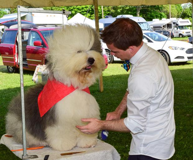 Wrentham Dog Show Staff