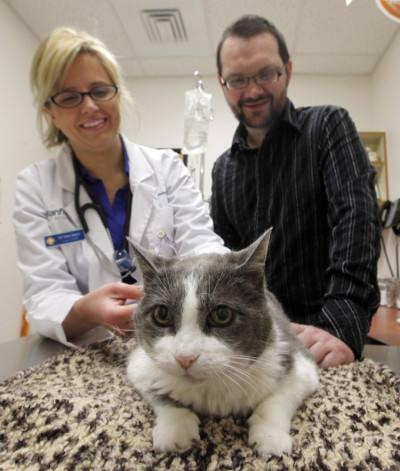 Leading Killer Pet Day Thesunchronicle Com