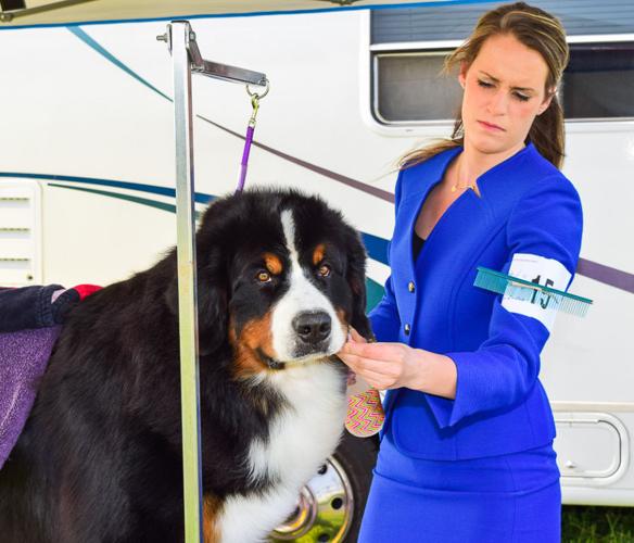 Wrentham Dog Show Gallery