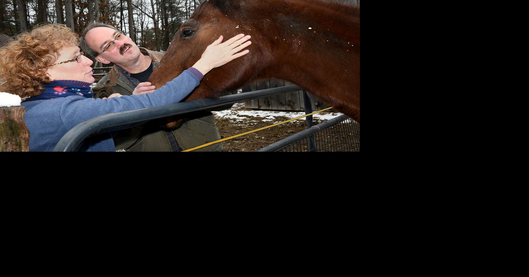 TRUE SANTAS Providing a home for unwanted horses in Norton