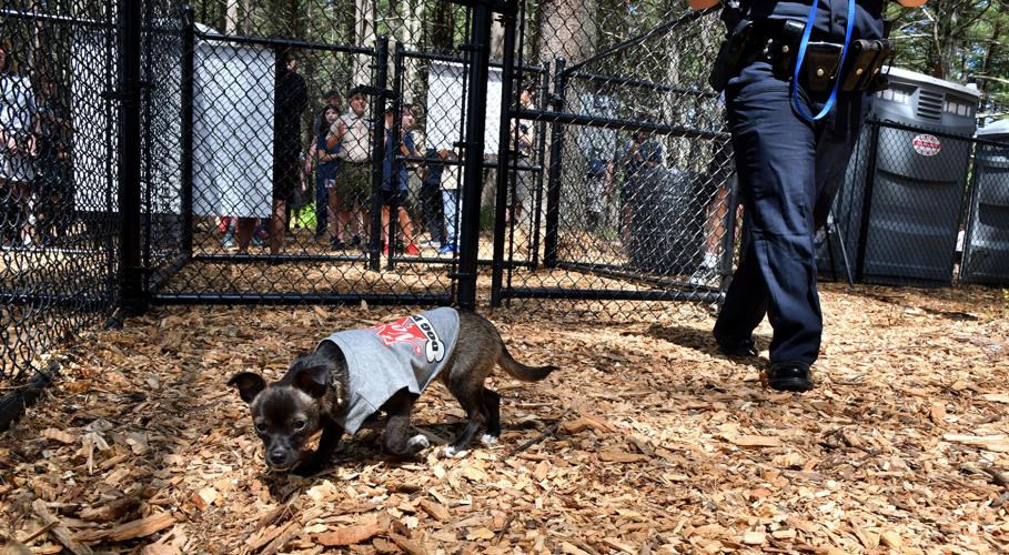 North Attleboro's new dog park, walking trails a treat for all Local
