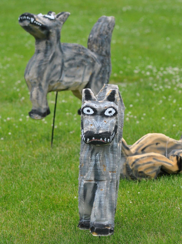 New coyote decoys placed on geeseplagued Attleboro playing fields