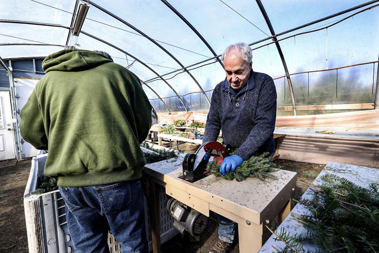 Christmas trees in short supply again in Attleboro area, beyond Local