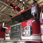 Mansfield man, 77, escapes serious injuries in fall from tree - Vimarsana News