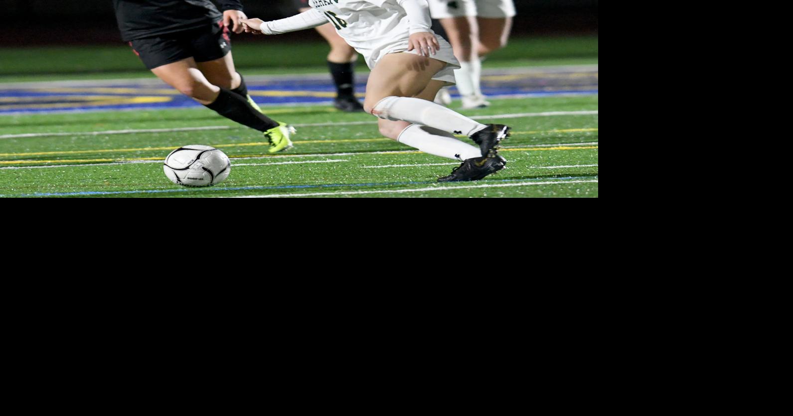 MIAA GIRLS SOCCER Yanchuk the hero again as Feehan wins state title