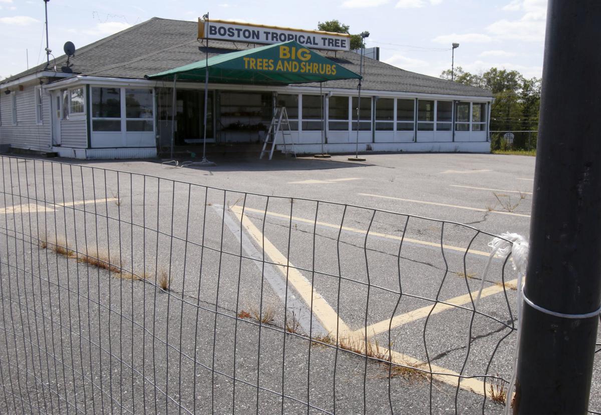Boston Tropical Tree, a Plainville retail landmark, is