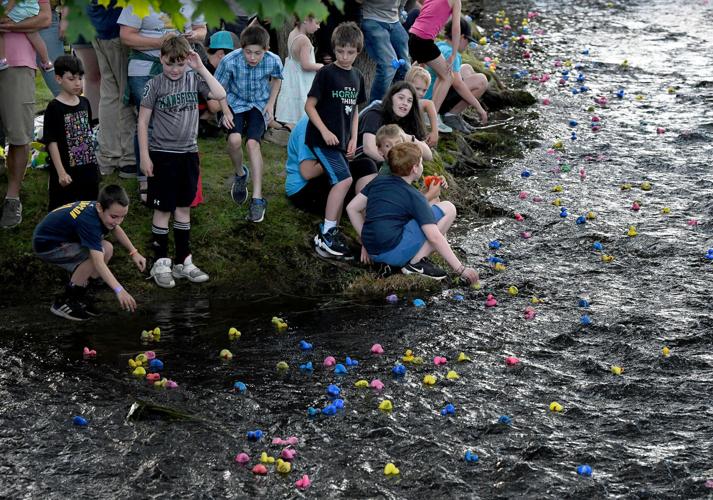 Mansfield's annual Great Duck Race Gallery
