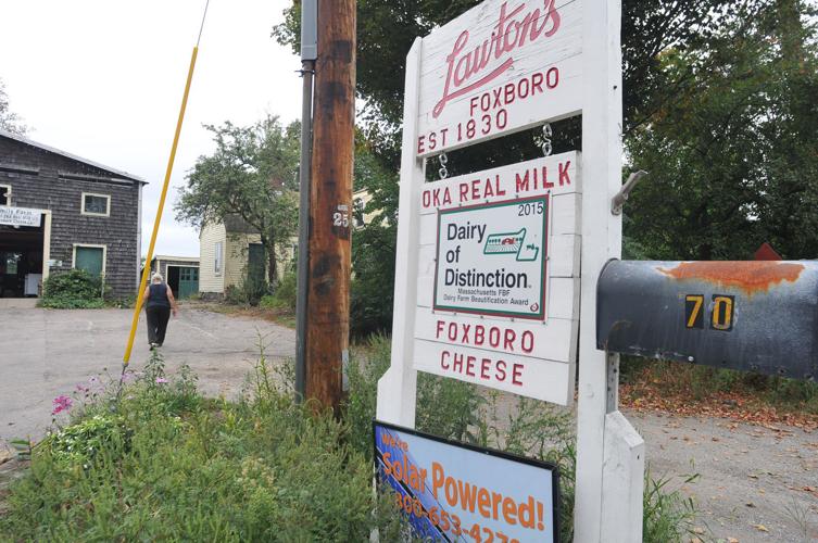 Foxboro farm sees uptick in sales at stand during drought Local News