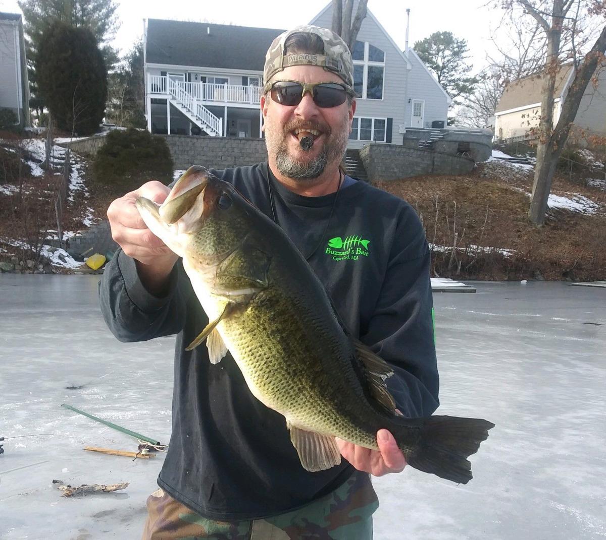 Monti Gear Closure To Help Large Whales Local Sports