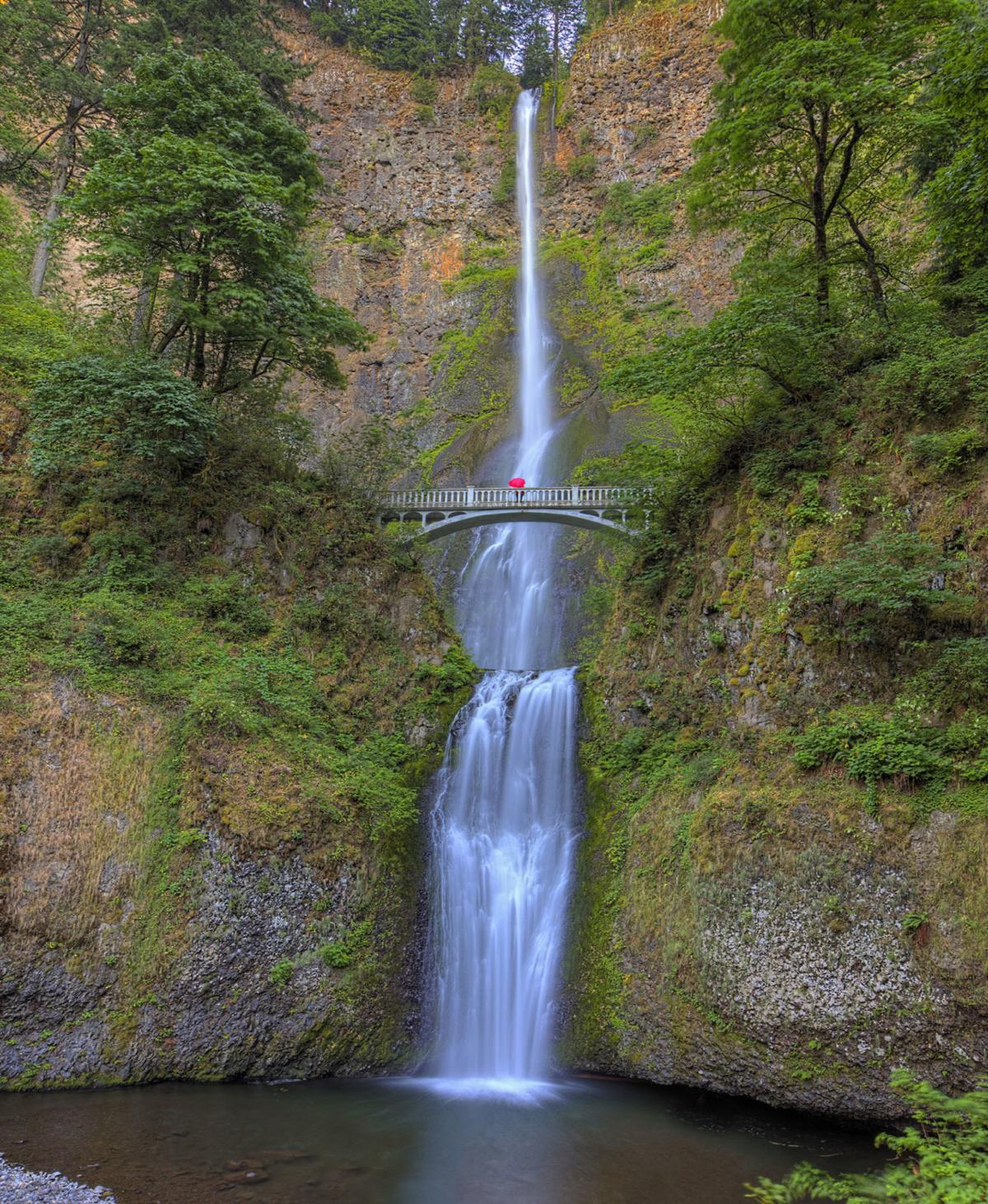 America The Beautiful Photo Gallery Local News Thesunchronicle