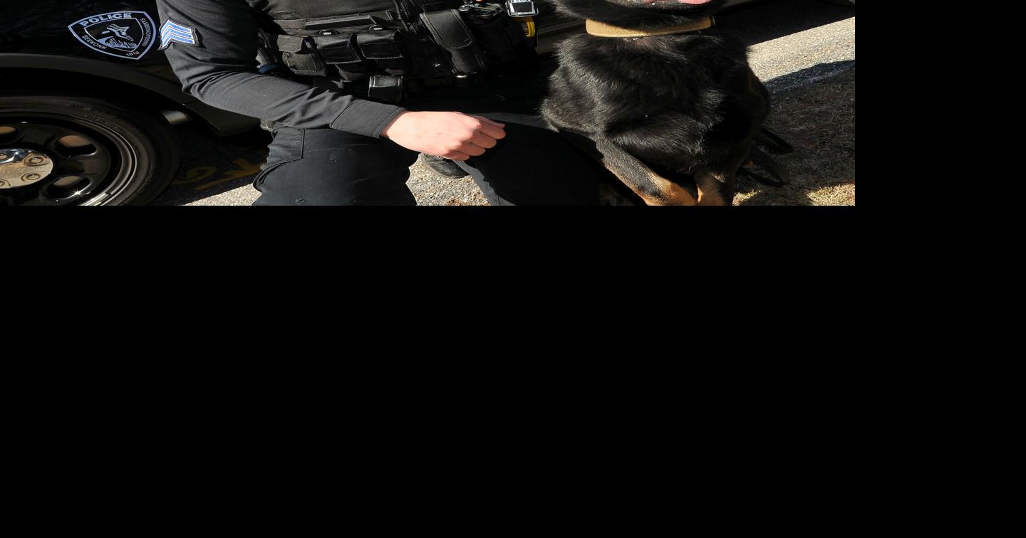 Partners in fighting crime: Local police departments find their K-9 ...