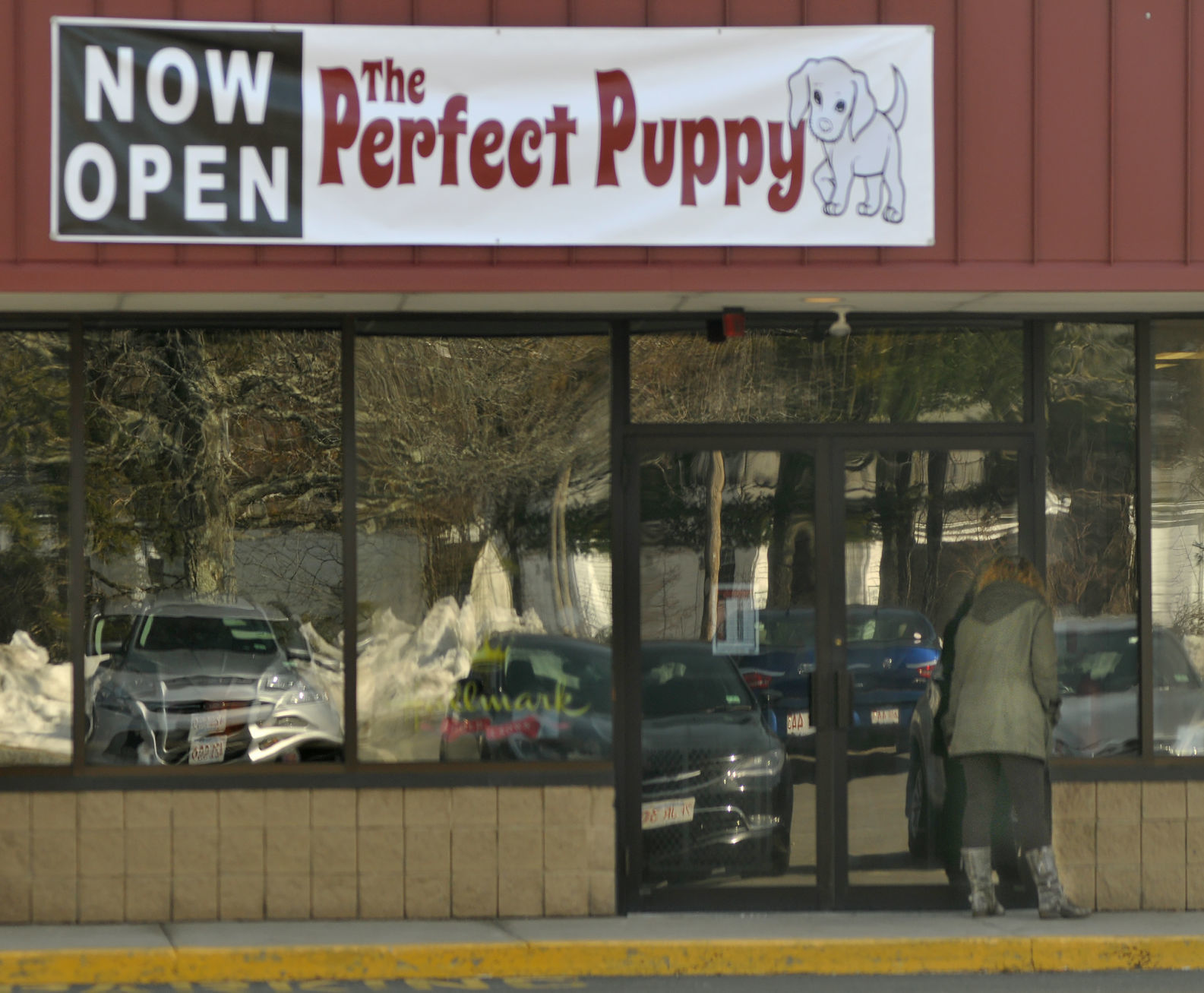 the puppy store