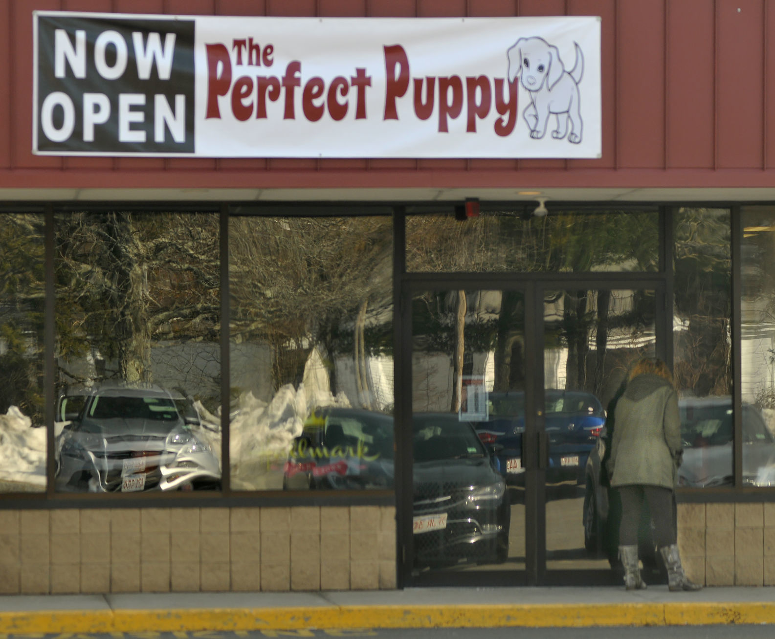 Pet store store near penn station