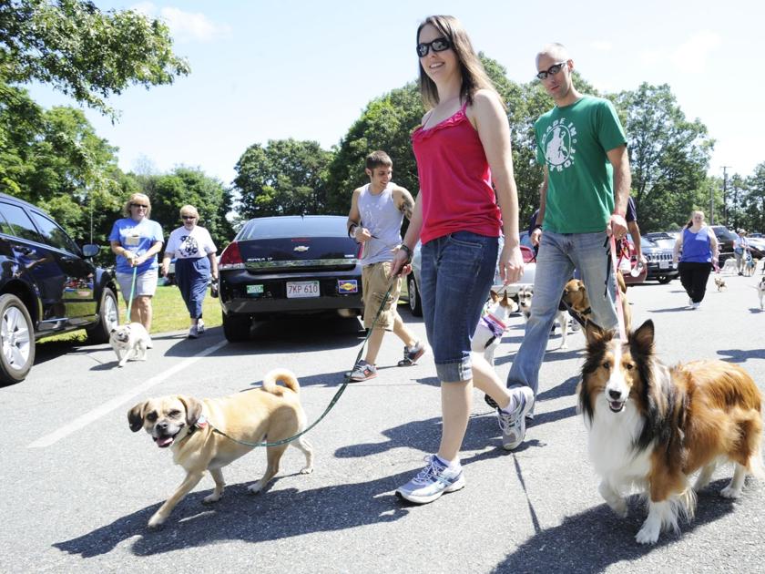 Take a walk! And help animal shelters in the Attleboros ...
