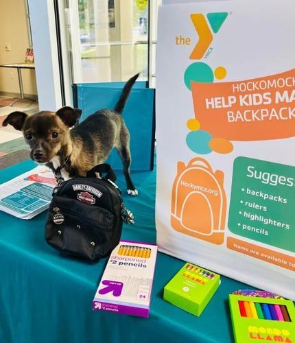 how does a backpack help a dog