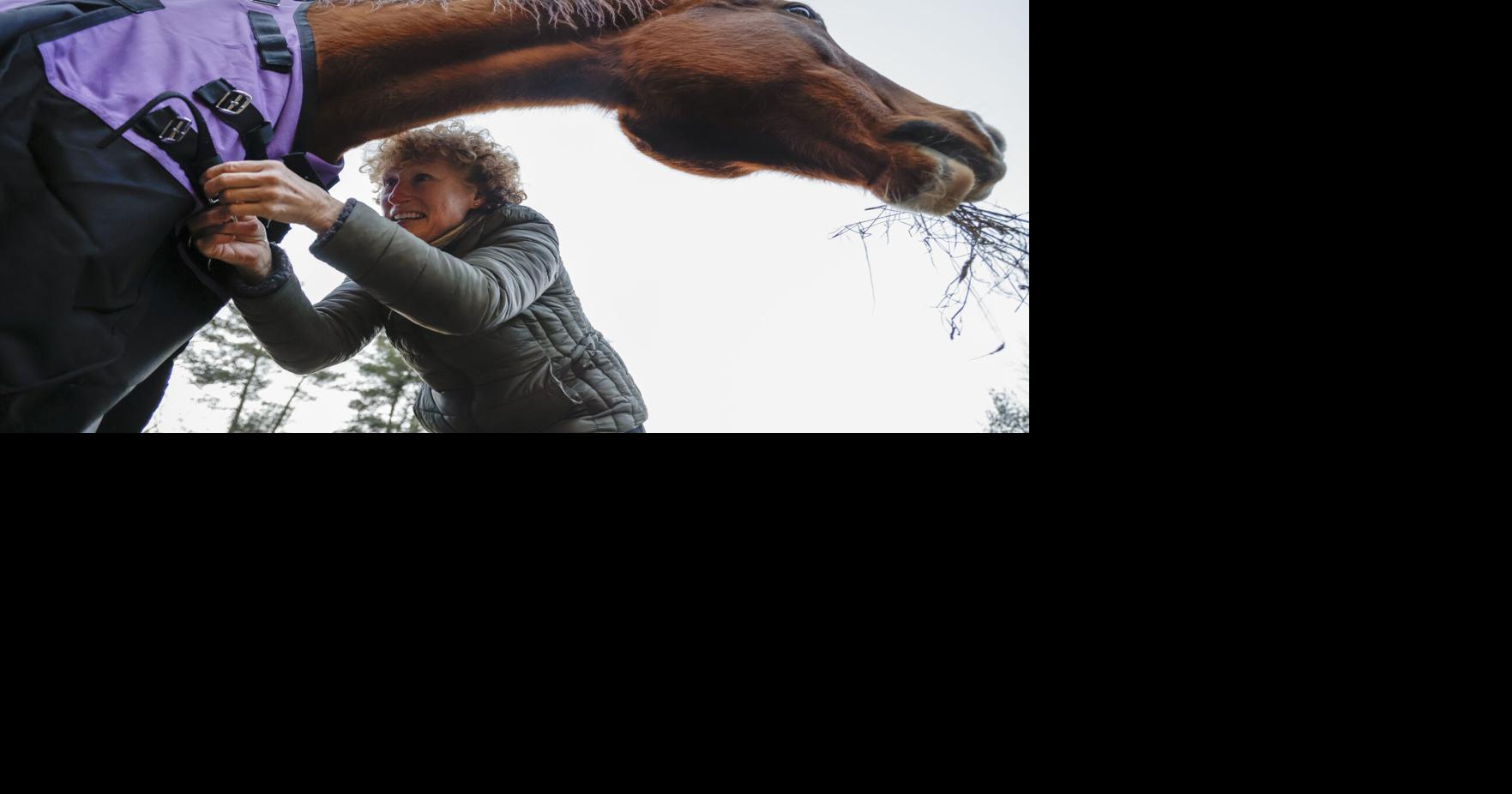 Love, dedication guide work at Norton's Smokey Chestnut Farm Rescue