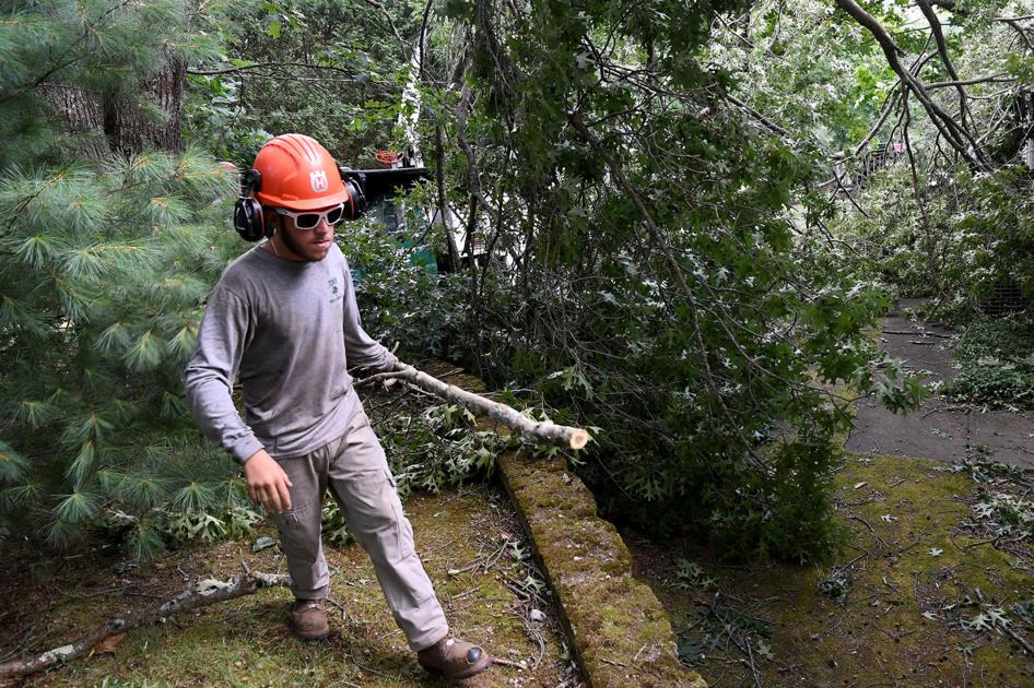 Storm Aftermath Keeps Tree Workers Utility Services Busy In The Attleboro Area Local News Thesunchronicle Com
