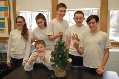 SJE 3D ornaments