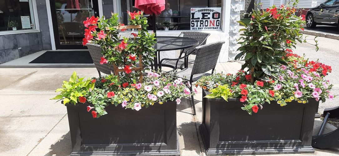 Along the Way Area bakery 'noticed' for beautiful exterior