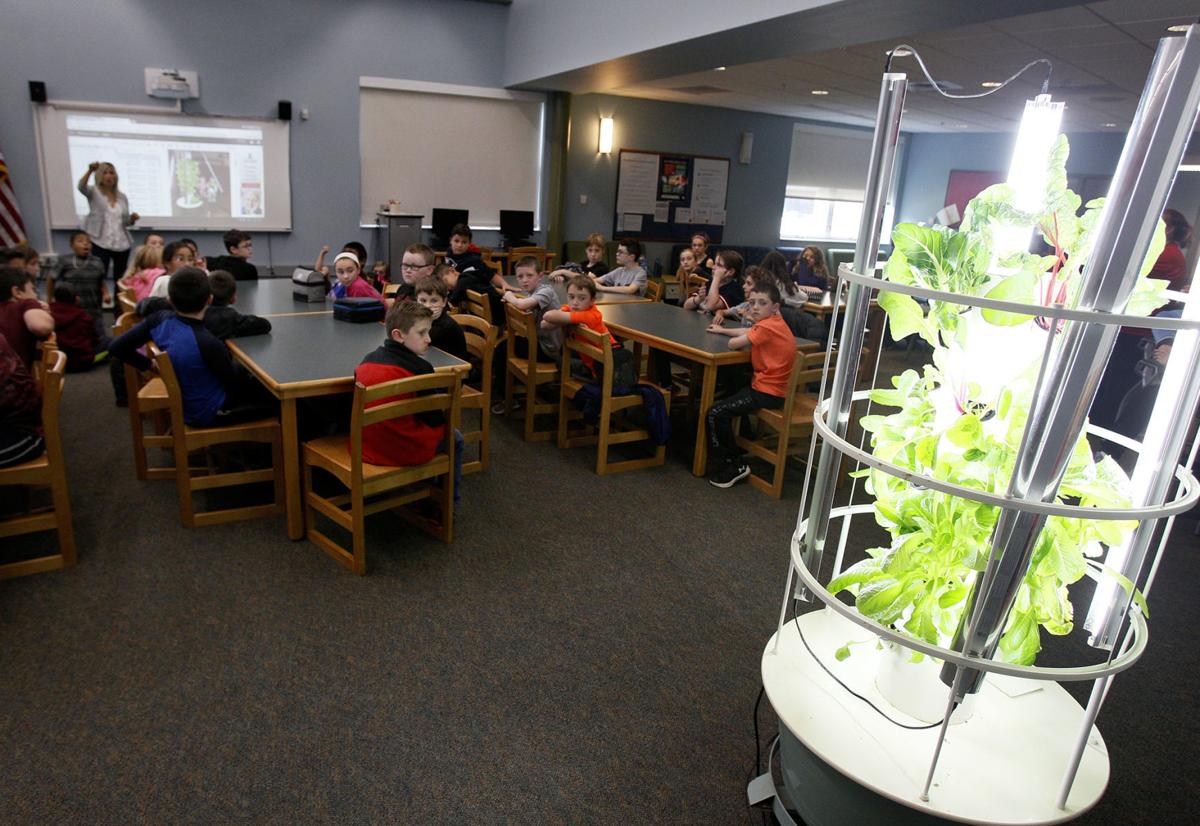 Tower gardens provide fresh greens at Wood School in Plainville Local News