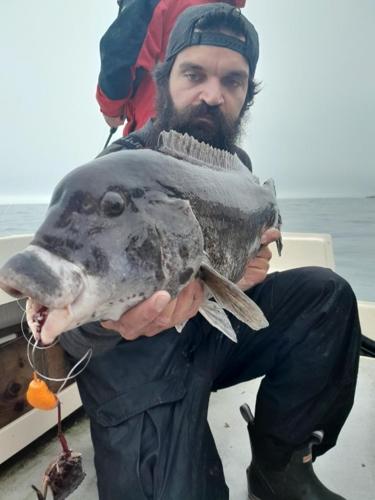 Catching Tautog from Shore - On The Water