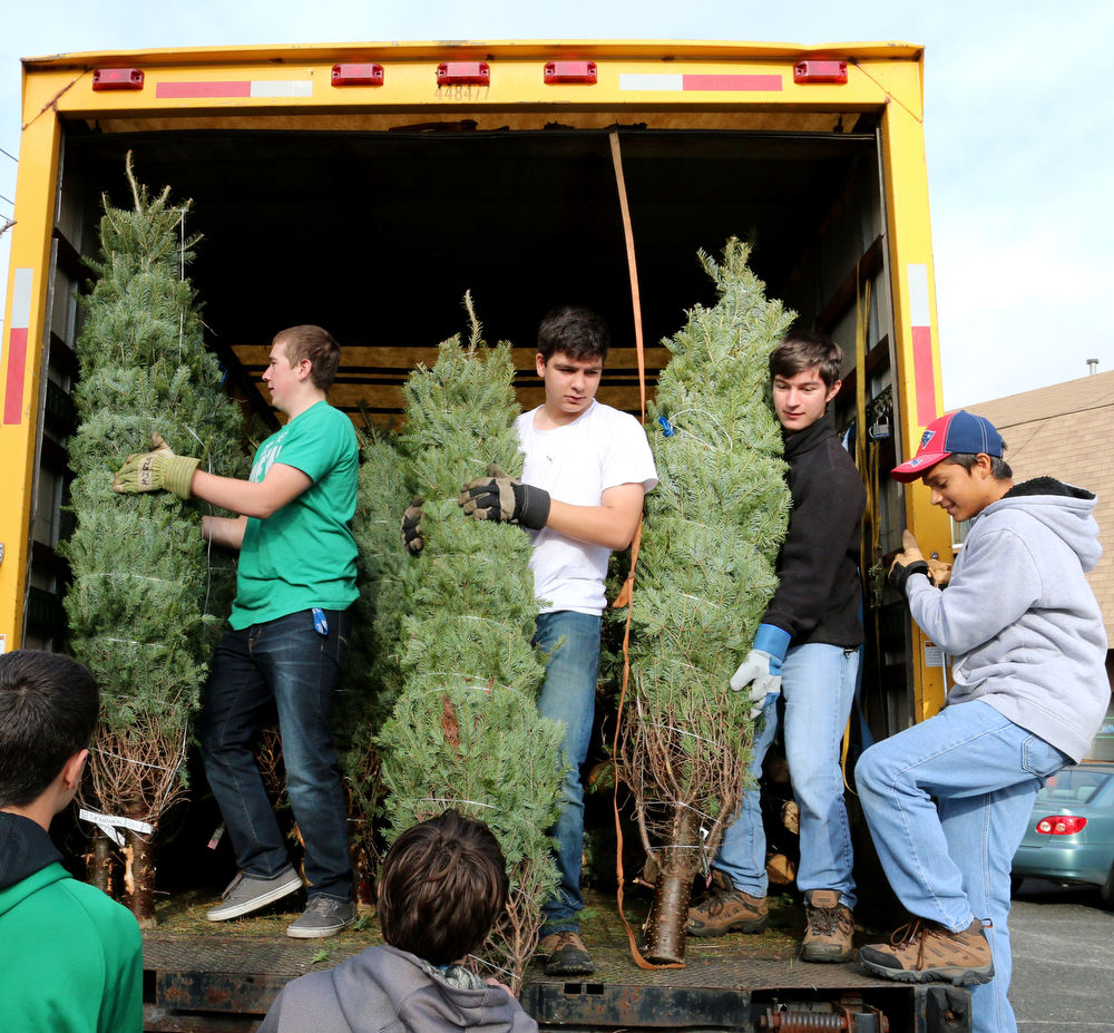 Boy Scout Troop 23 Sets Up Christmas Tree Stand Gallery