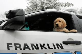 Franklin Police Get Therapy Dog Local News Thesunchronicle Com