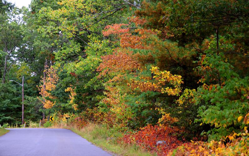 Dry weather is speeding up fall foliage color in Attleboro area, beyond ...