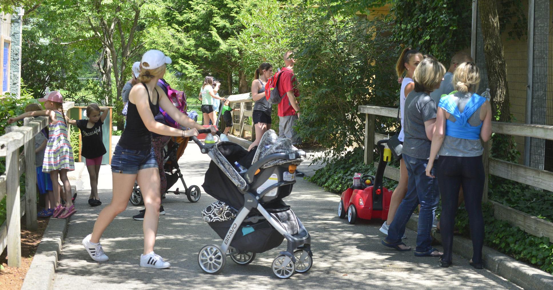 Task force comes up with plan for getting Capron Park Zoo in Attleboro on sound financial footing - Vimarsana News