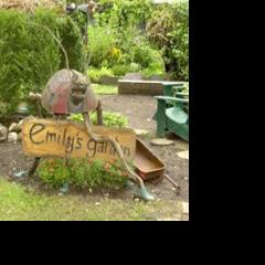 Enter Emily's world | | thesunchronicle.com