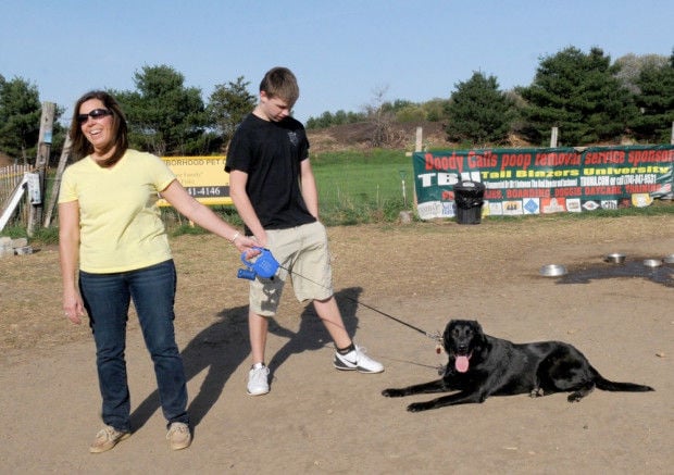 Dog Themed Bones Park Bench  All About Doody Pet Solutions