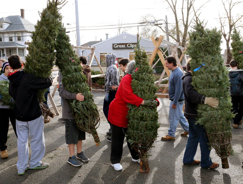 Boy Scout Troop 23 Sets Up Christmas Tree Stand Gallery