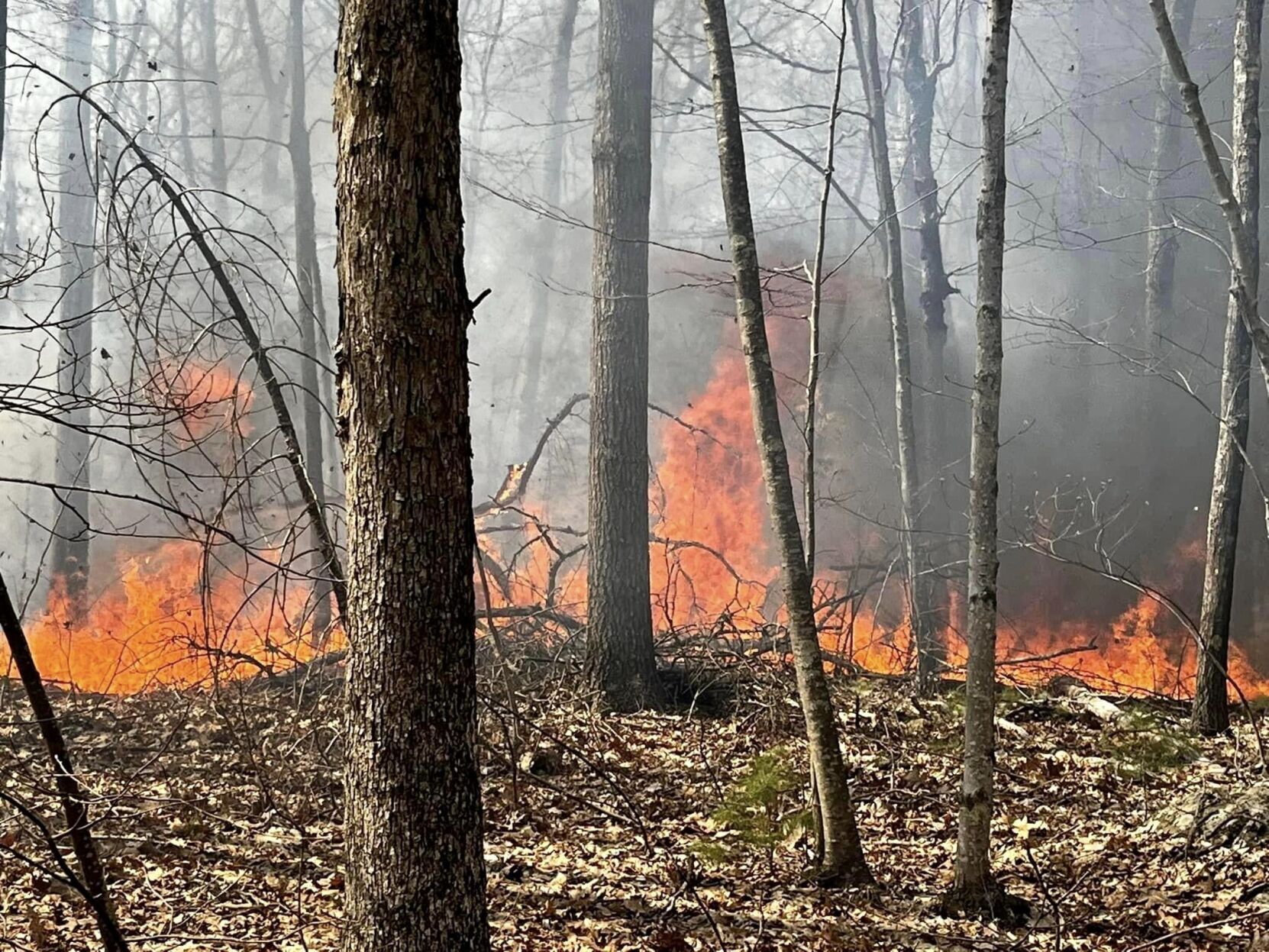 Norfolk, Wrentham Firefighters Among Several Crews Who Battled Massive ...