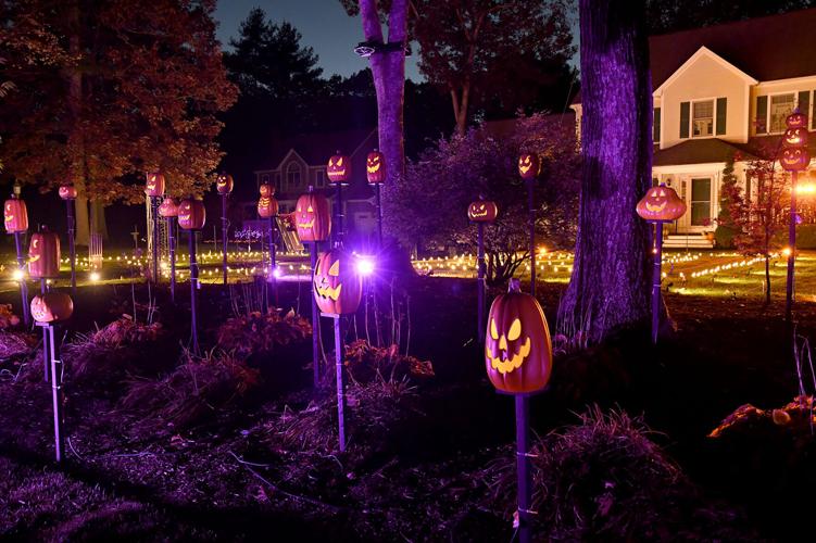 Halloween display in Norton Gallery