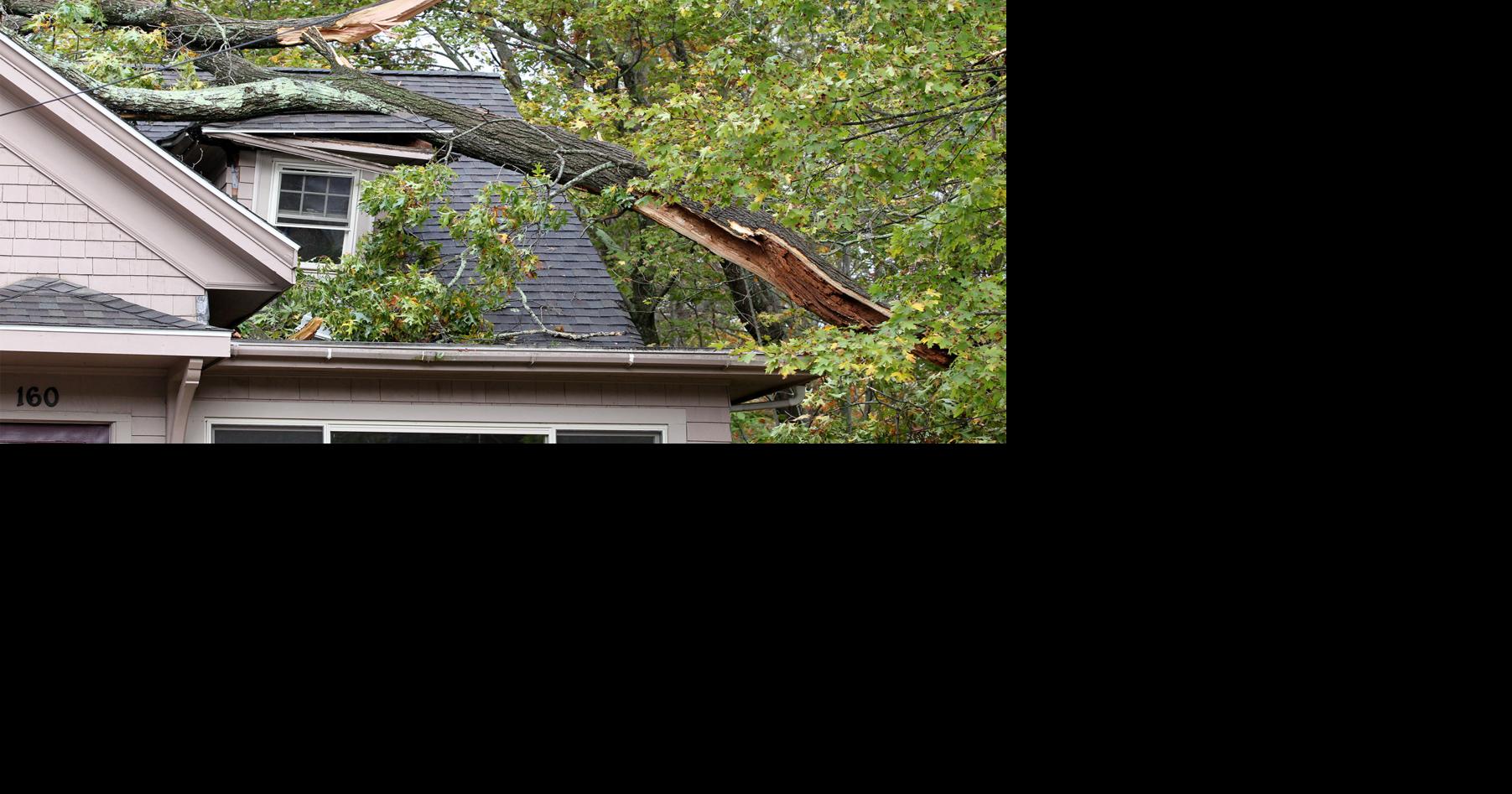 Thousands without power in Attleboro area after storm topples trees ...
