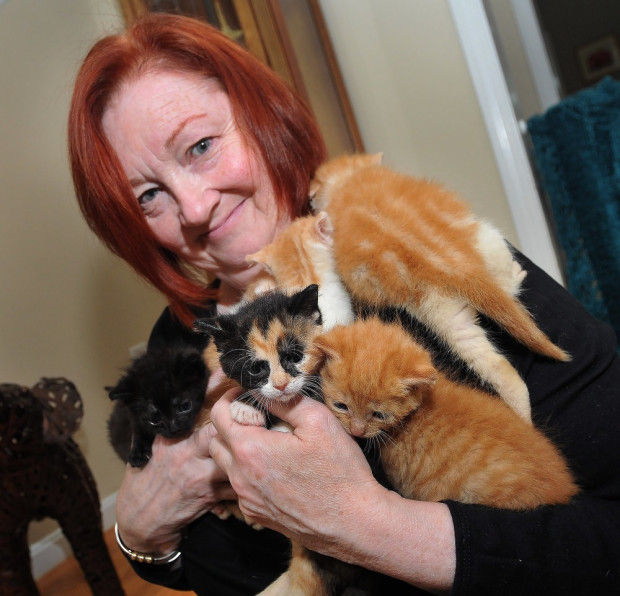 Foster Volunteers Open Doors Hearts To Needy Animals Pet Day
