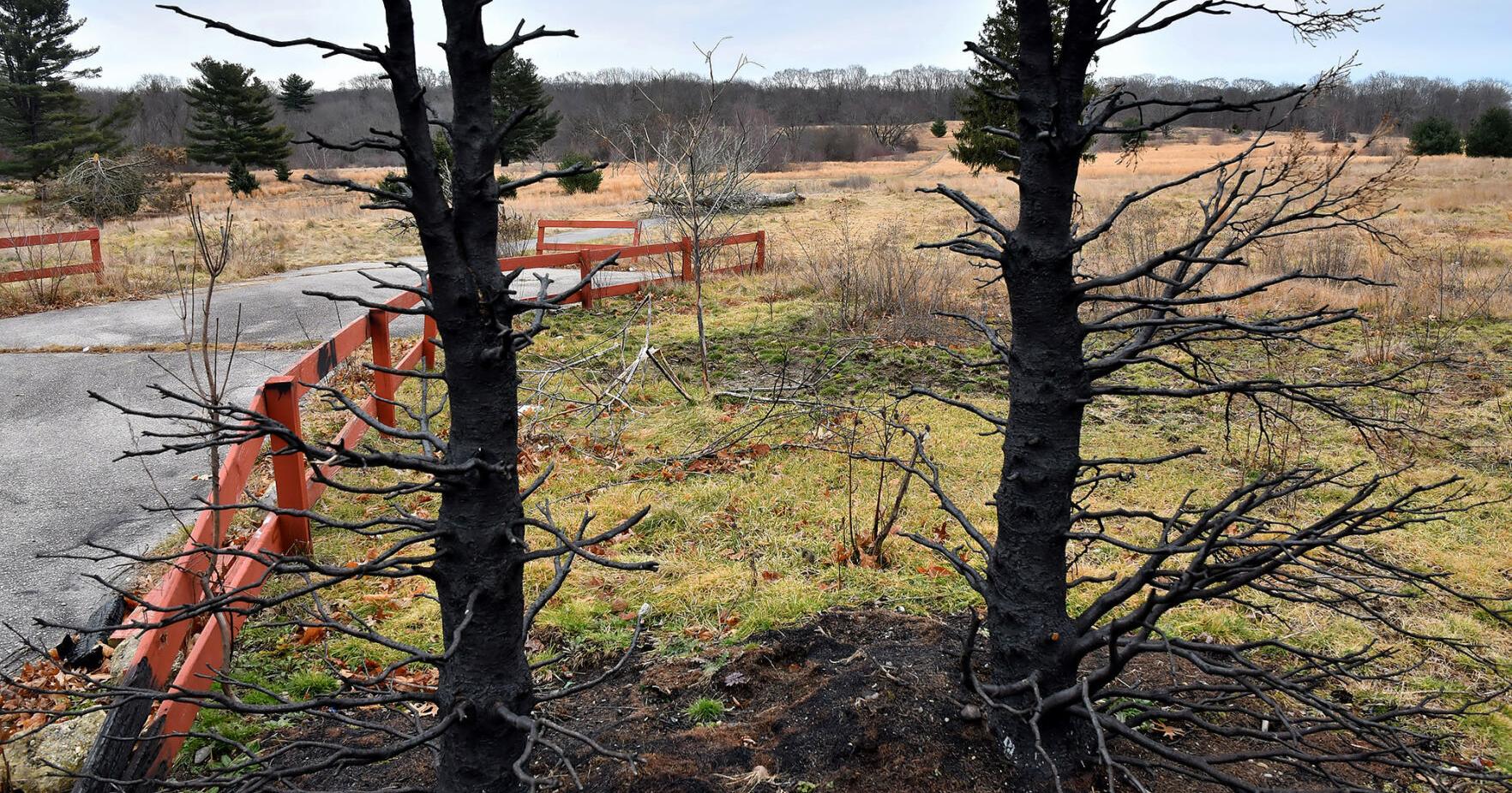 Be on the lookout for zombies, Attleboro - Vimarsana News