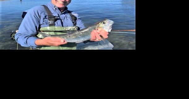 Cape Cod Fly Fishing & Casting Instruction
