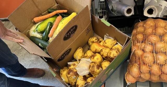 New error rate highlights risks for Massachusetts SNAP program